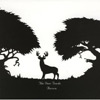 The Deer Tracks - Aurora